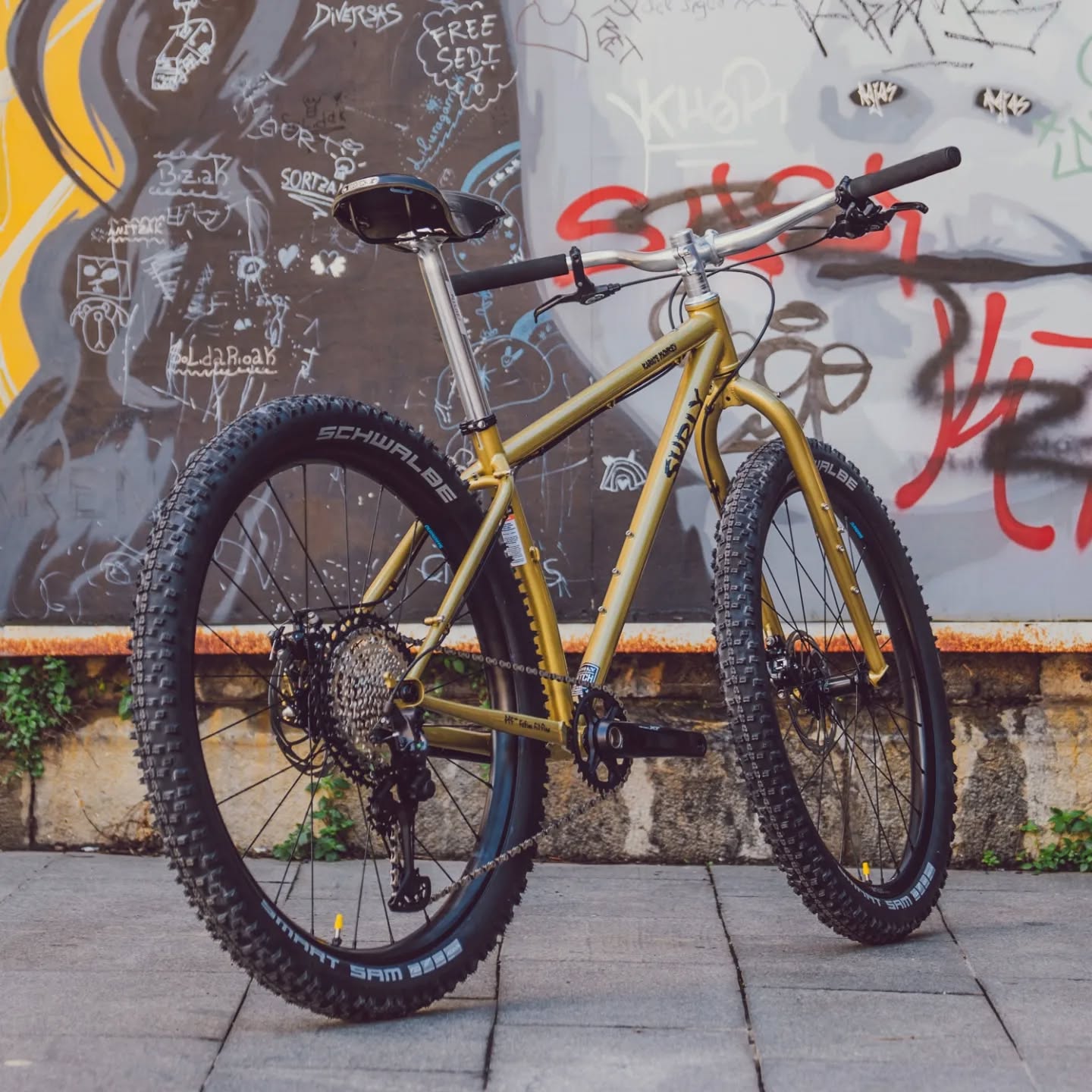 Karate Monkey Fools Gold Mountain Bike Barnicles