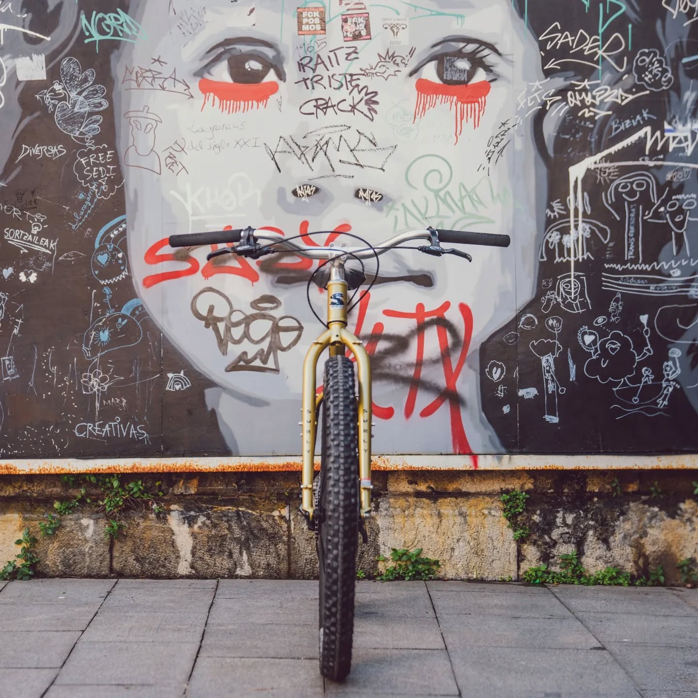 Karate Monkey Fools Gold Mountain Bike Hardtail Doubletrack