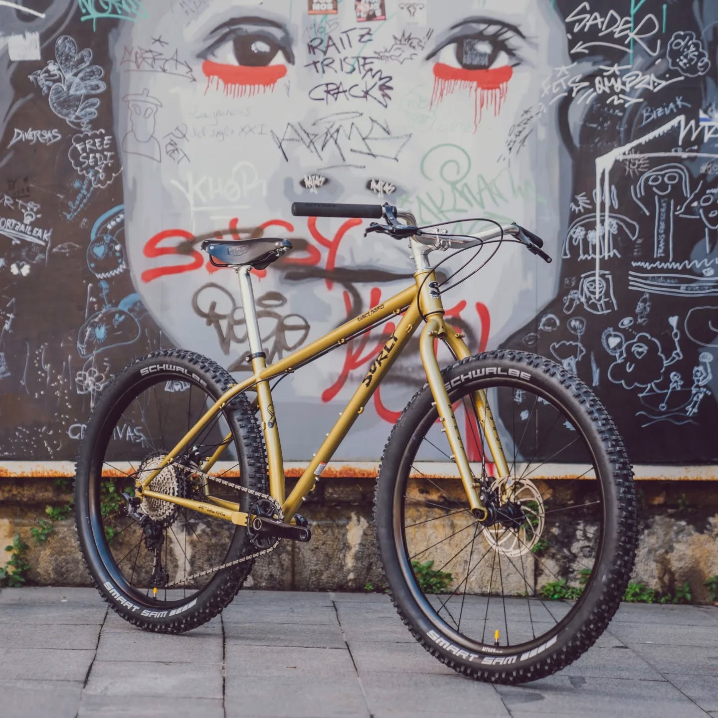 Surly Karate Monkey Fool's Gold Mountain Bike Review