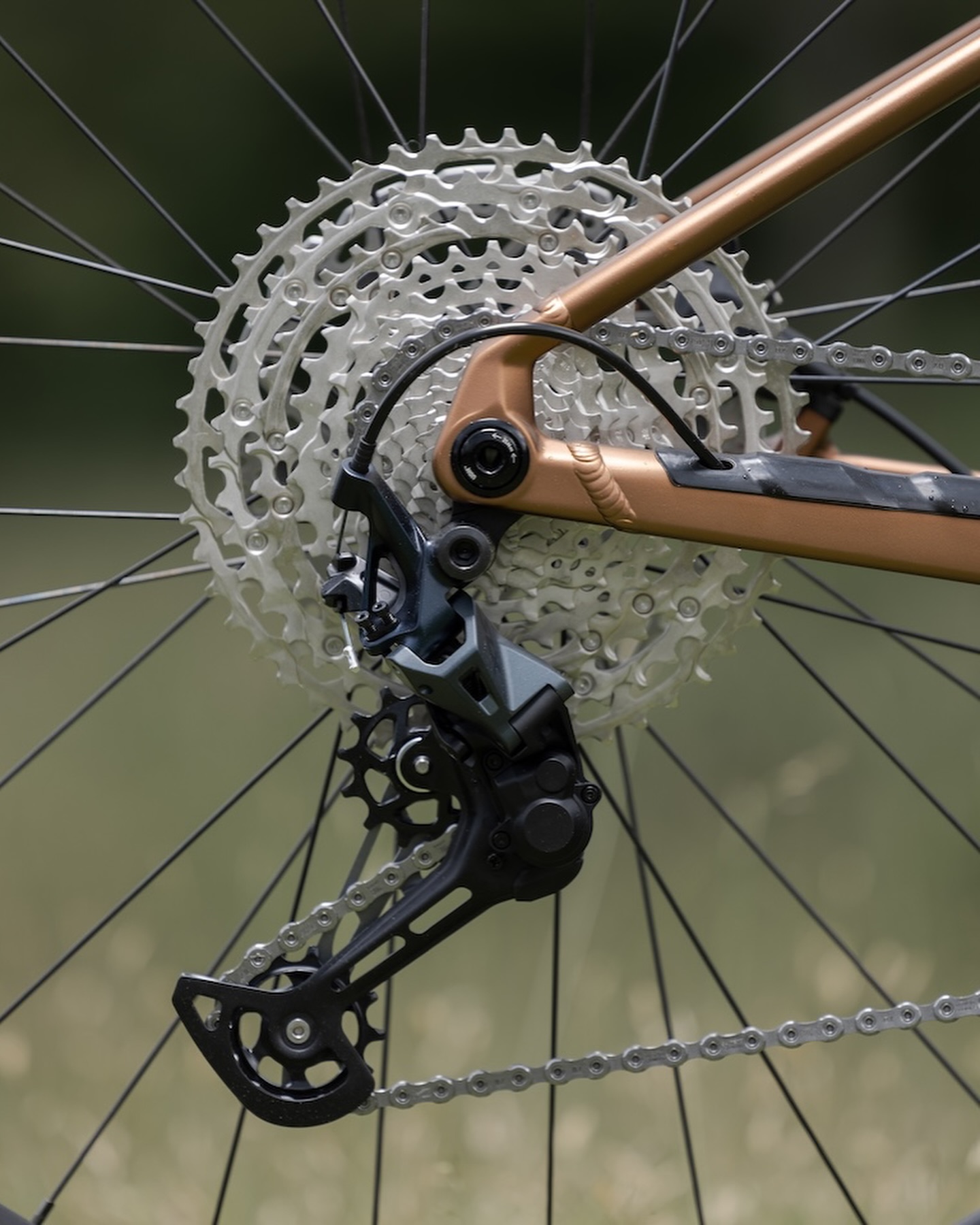 Orbea Laufey Cassette Detail