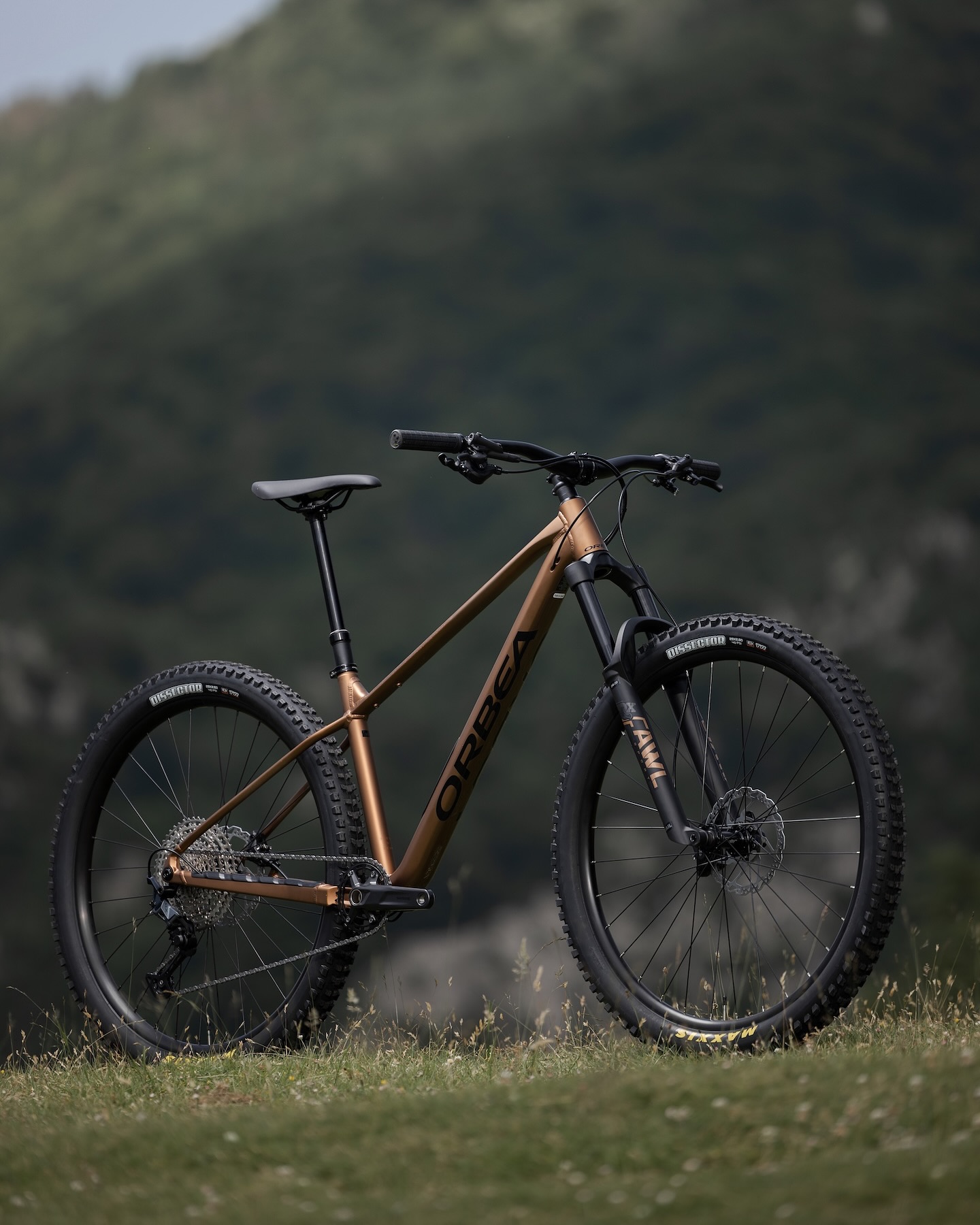 Orbea Laufey Hardtail Mountain Bike Review